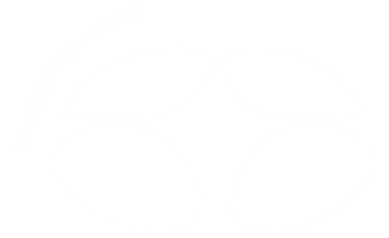 BlueCall Logo Blanco