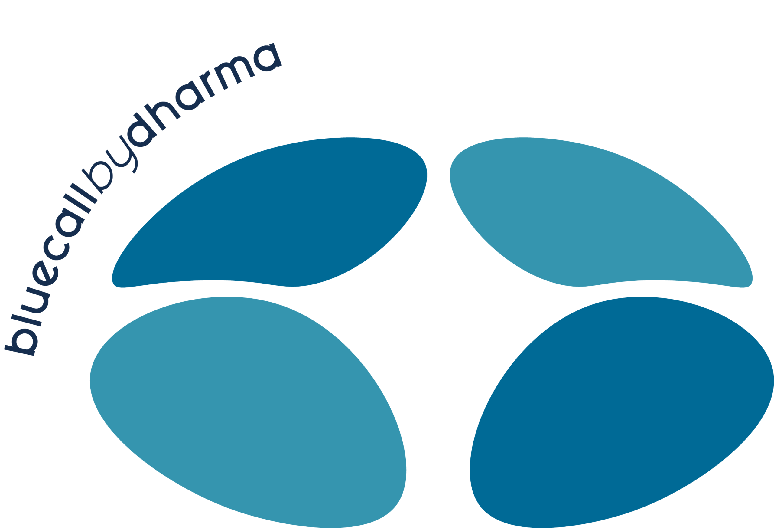 BlueCall Logo